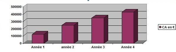 Entretien de la maison Seysses